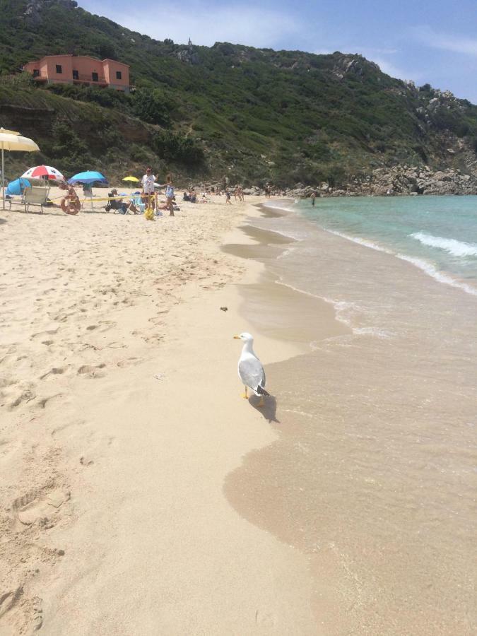 Residence Il Corallo Santa Teresa Gallura Dış mekan fotoğraf